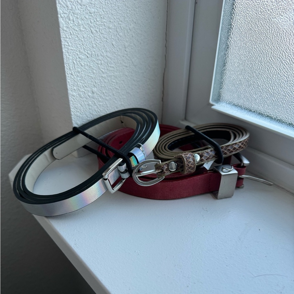 Belt Lot - Picture 3 of 4